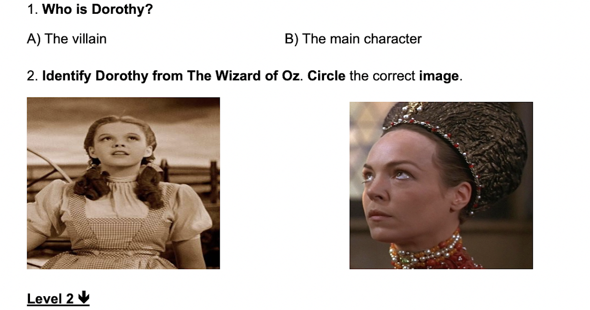 The wizard of oz picture