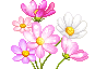 giphy%2B%25288%2529.gif
