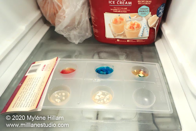 Plastic resin tray on freezer shelf