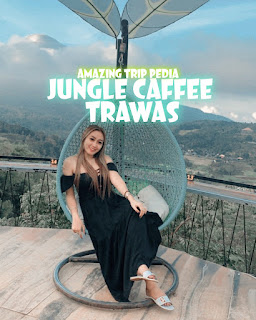 Tempat Wisata Jungle Caffee Trawas Daftar Menu Dan Aktivitas [Terbaru]
