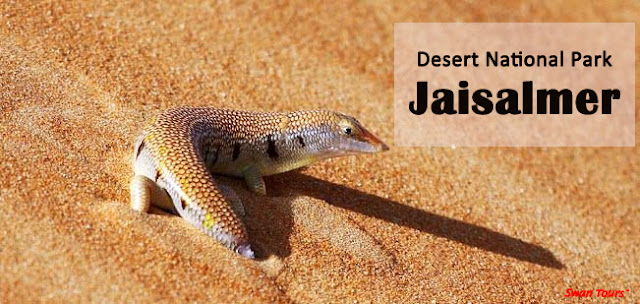 Desert National Park Jaisalmer