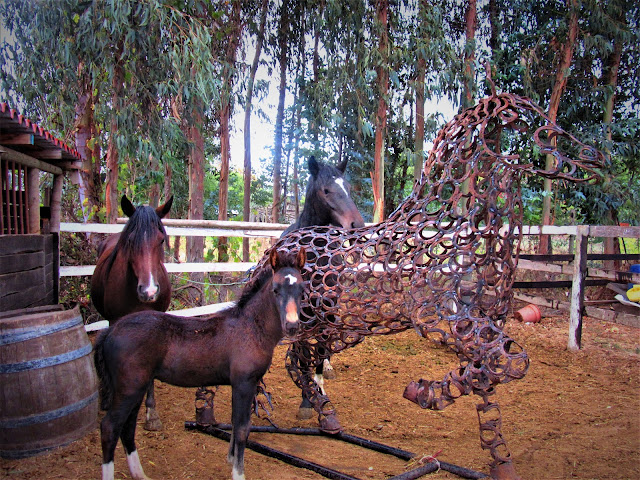 horseshoe horse, Santa cruz