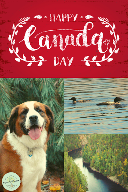 How to celebrate Canada Day during the global COVID-19 pandemic