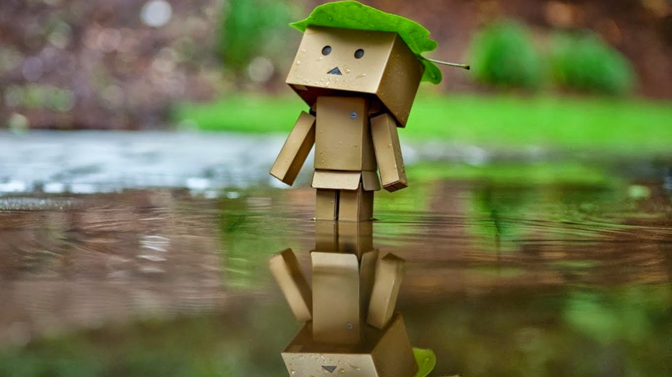 100+ Hình Ảnh Danbo Cô Đơn - Hinhanhsieudep.Net