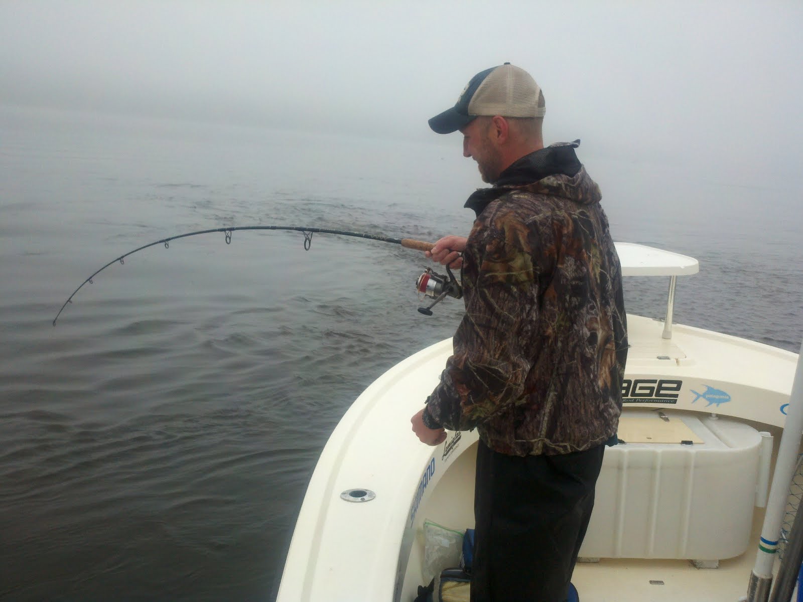 Maine Striper Fishing Charters & Reports Hotline 2076910745 Maine