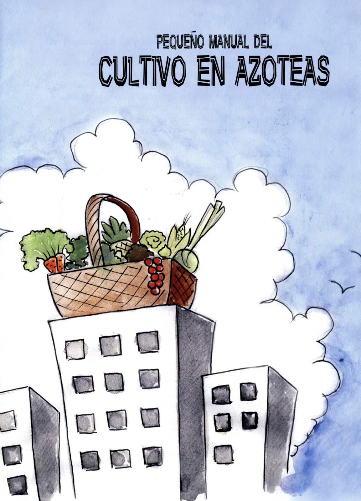 Imagen