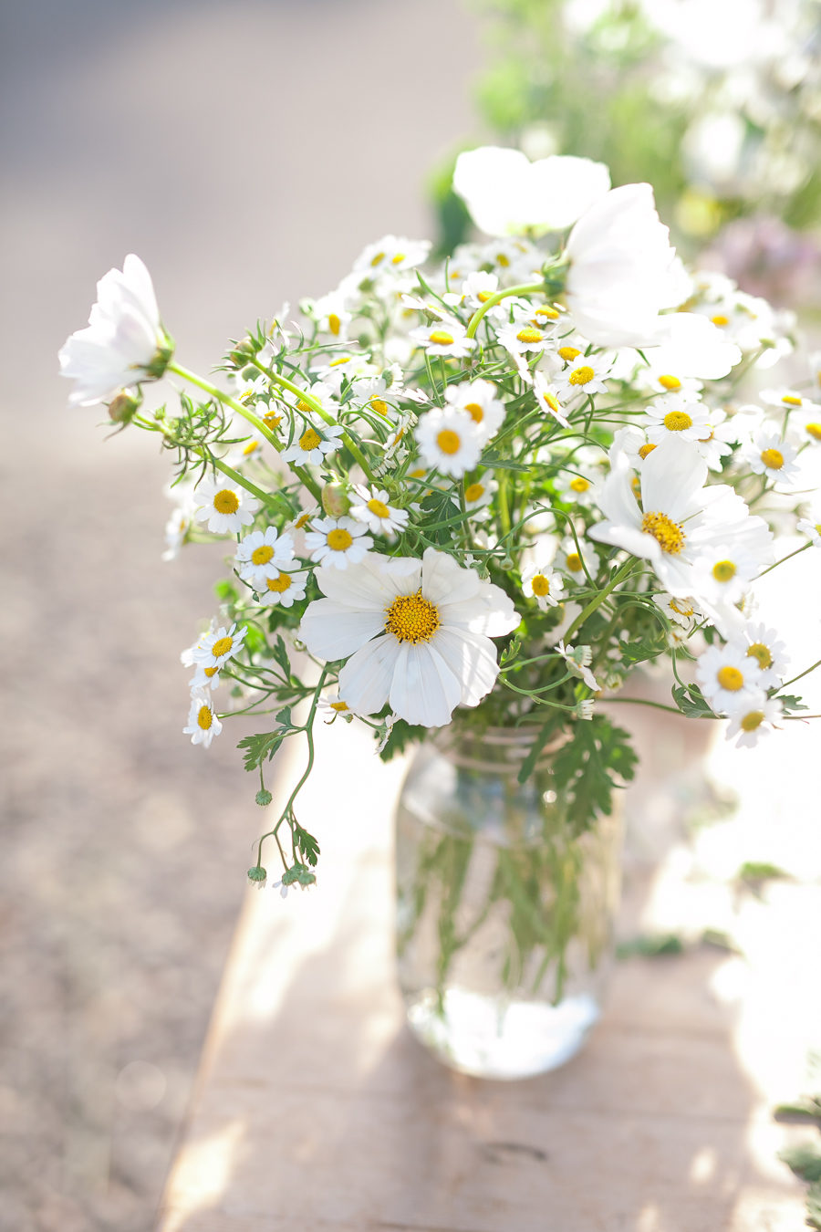 Late-Spring Inspiration | Coming Up Daisies