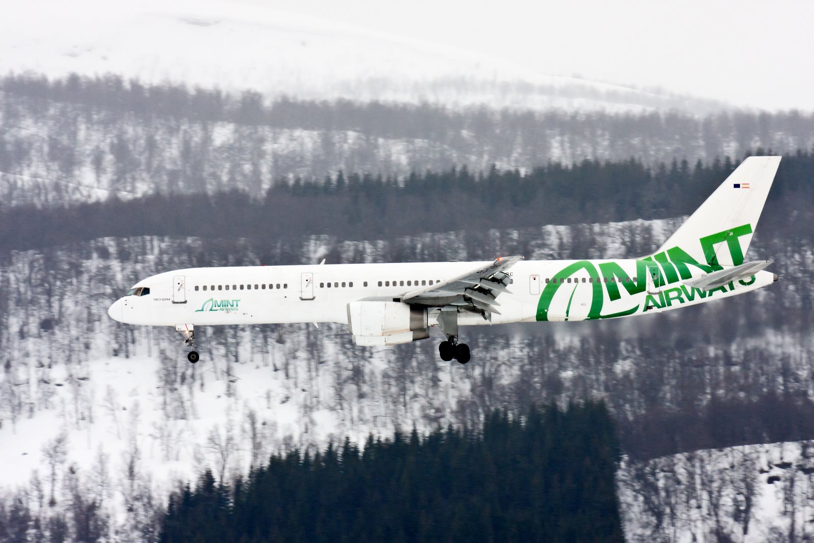 Avión Mint Airways (Mint Airways) .2