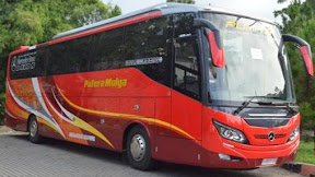 Harga Tiket Bus Putera Mulya Oktober 2019