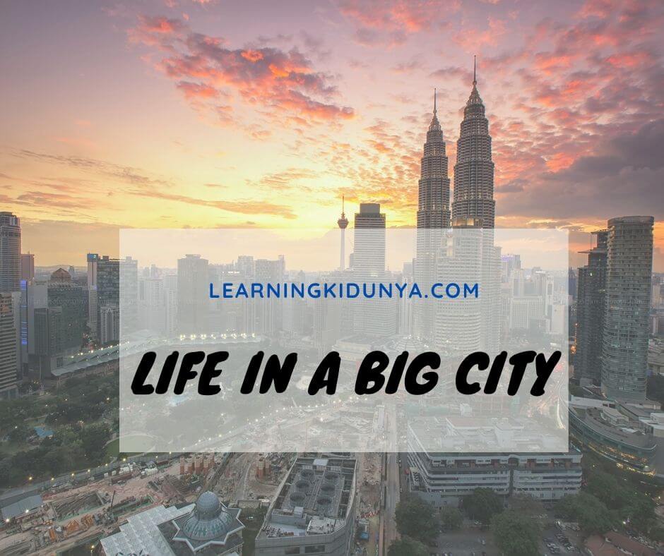 essay on life in a big city advantages and disadvantages