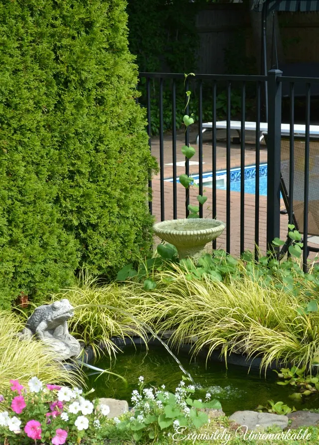 Frog Fountain in a small pond that borders a pool