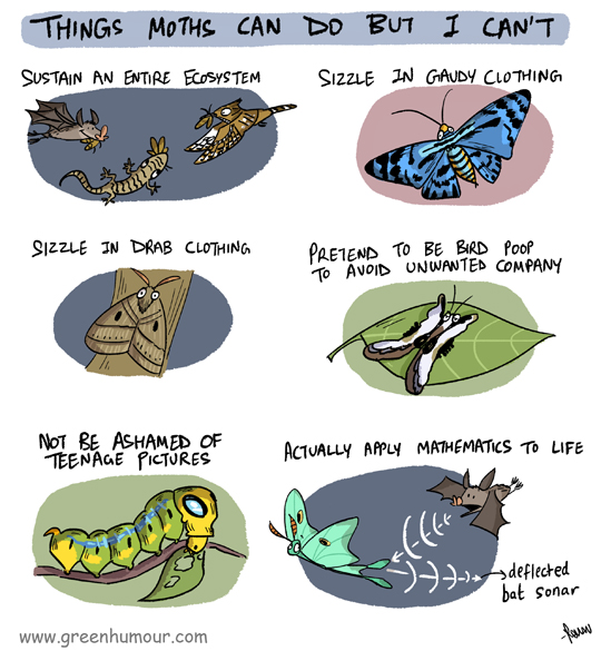Green Humour: Things Moths can do but I Can't