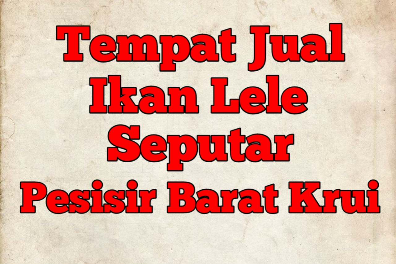 Tempat jual ikan lele segar di pesisir barat krui