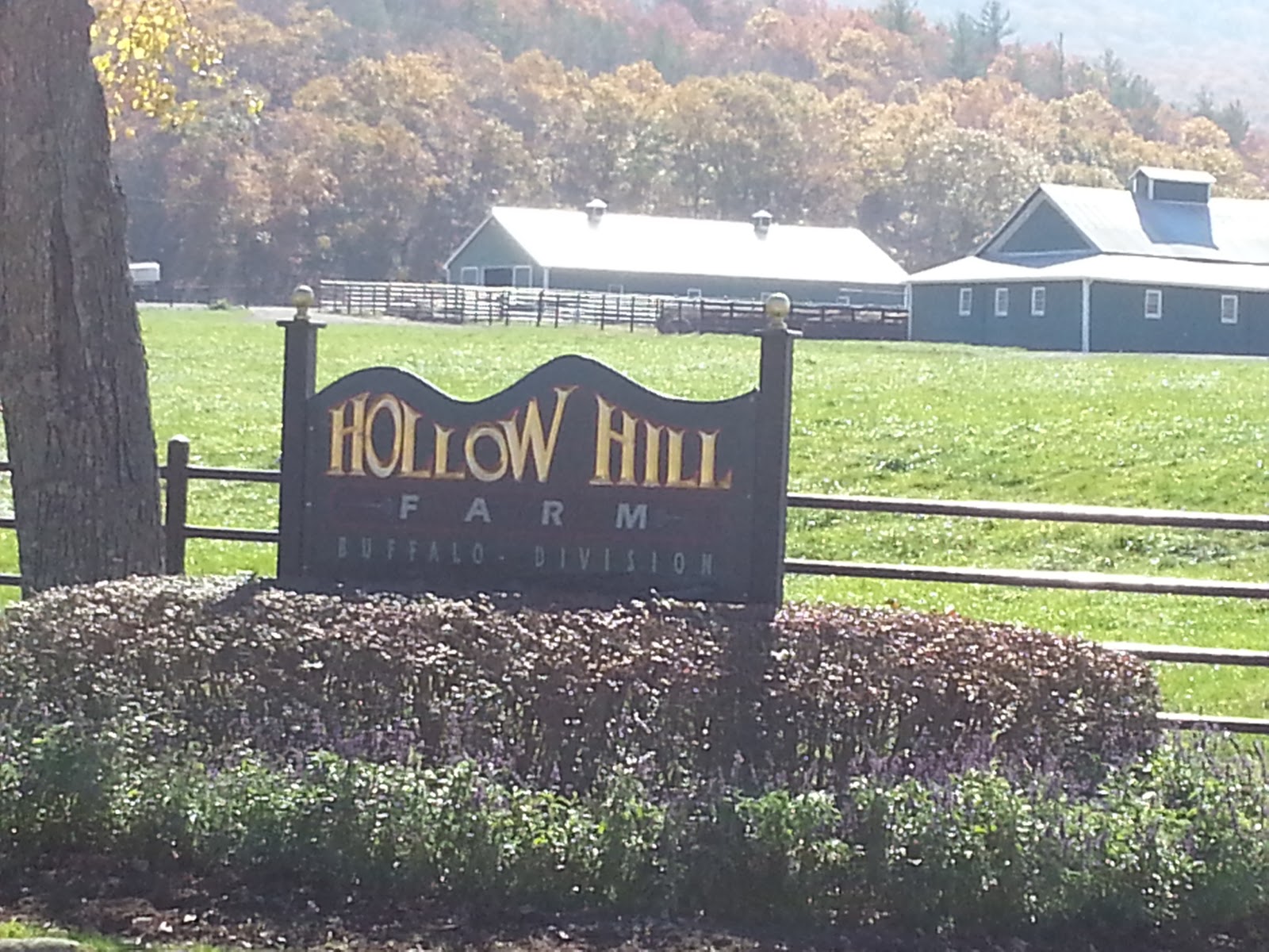 Why We Ride Buffalo Farms & Thermoclines