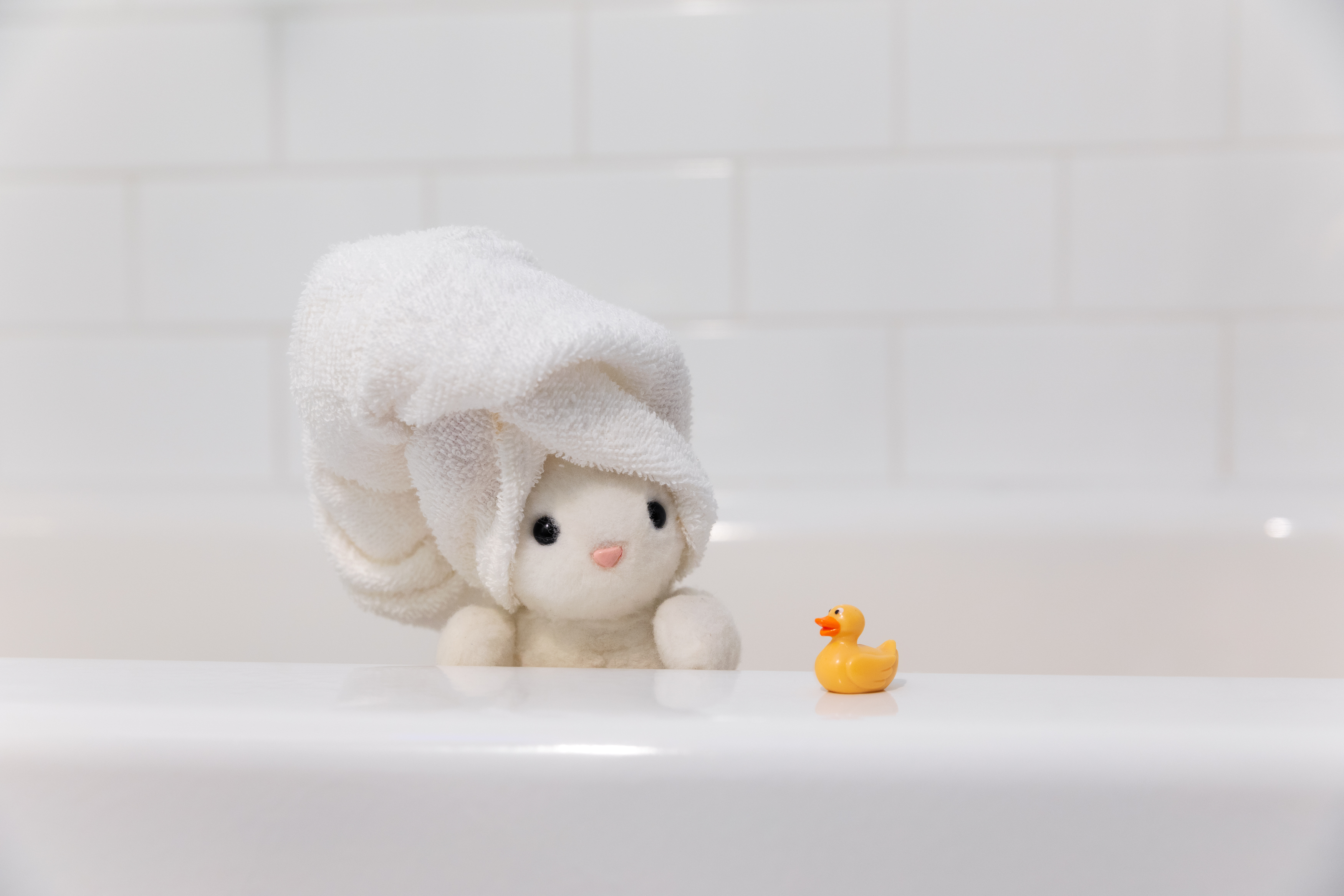 Rubber Ducky You're The One