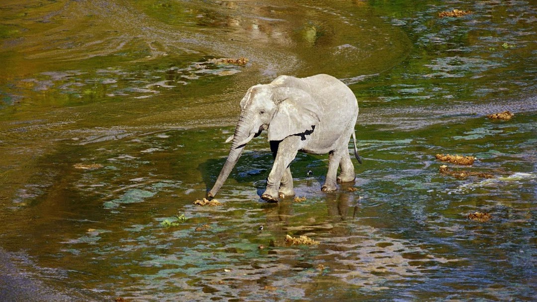 Blade: Trinity 2004 - Rotten Tomatoes