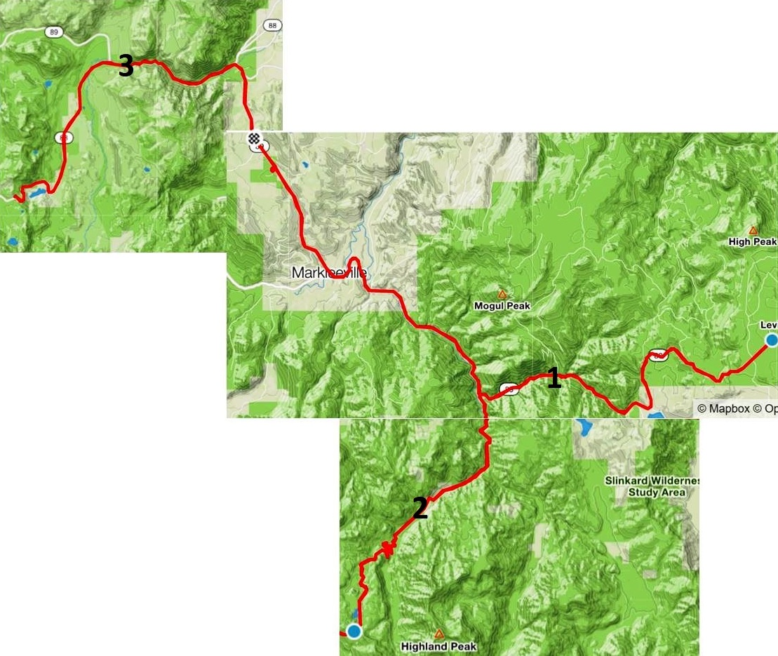 albertnet: Ride Report - 2019 Markleeville Death Ride with Teenager