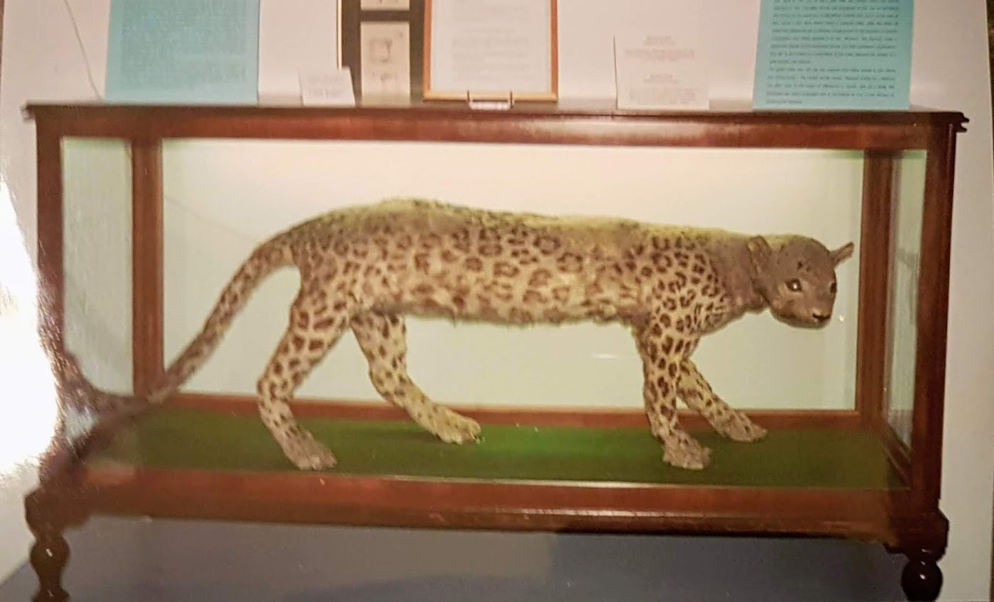 13th Historic Acropolis Rally