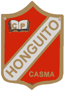 Colegio EL HONGUITO - CASMA