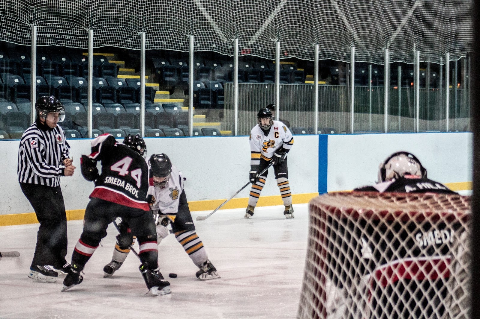 Theoret: Hockey Shots