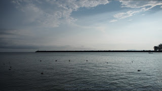 Olympus Viewer 3: *.orf RAW File Olympus Viewer 3: *.orf RAW File
