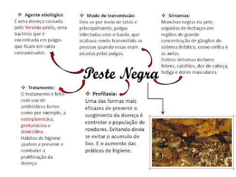 Mapa Mental - Peste Negra No quadro é apresentado de forma sucinta, mas eficaz, todas as informações quanto a Peste Negra