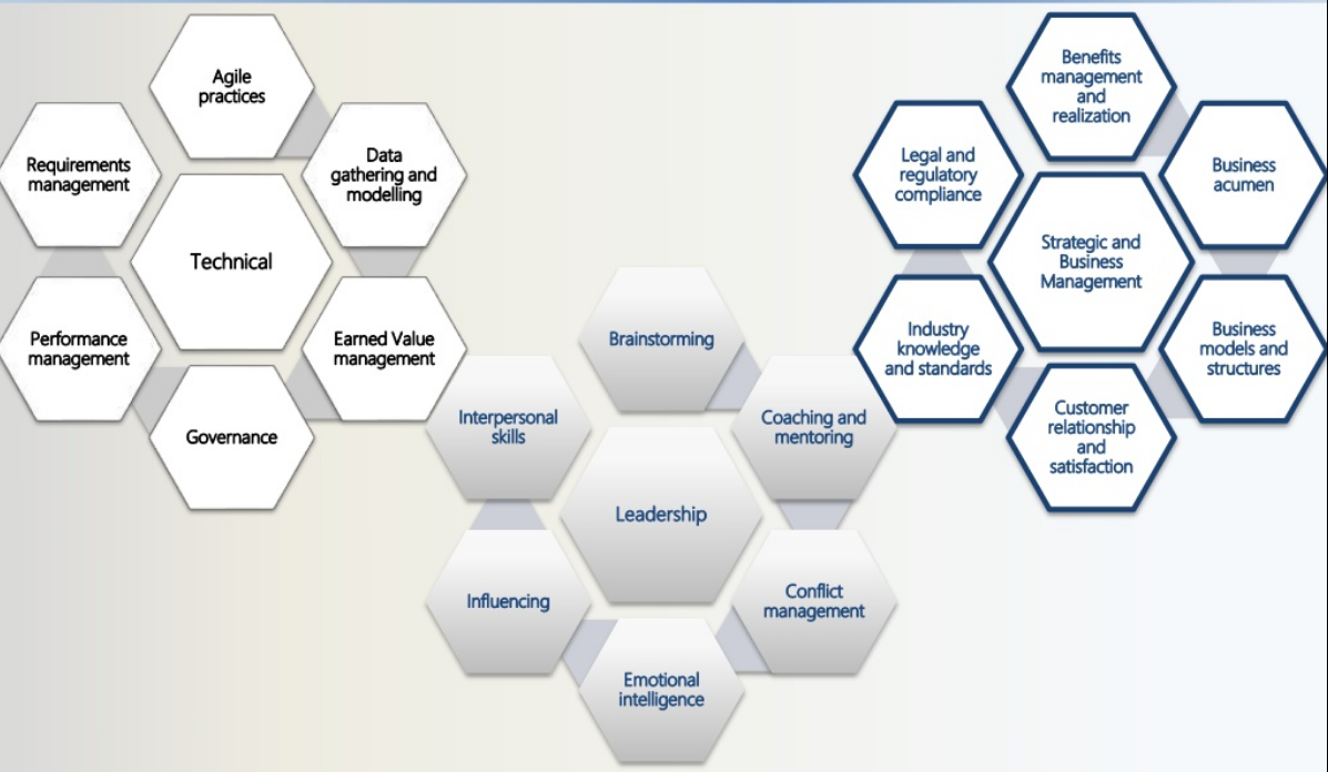 Project Life cycle & Process groups PM Talent Triangle