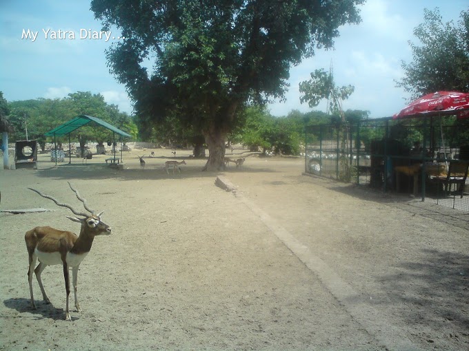 Raman Reti or Raman Van in Old Gokul, Vrindavan