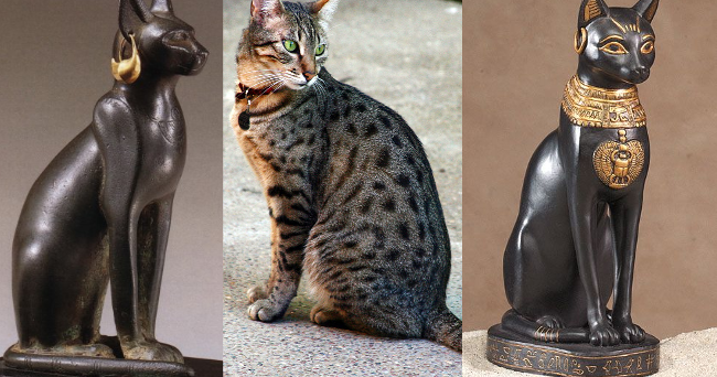 Animals worshipped in Ancient Egypt