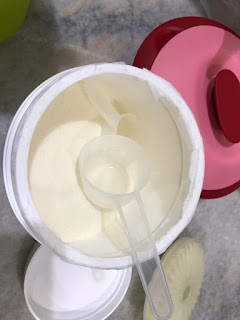 Shaklee Performance Drink Perasa Lime Pengedar Shaklee Kuala Terengganu