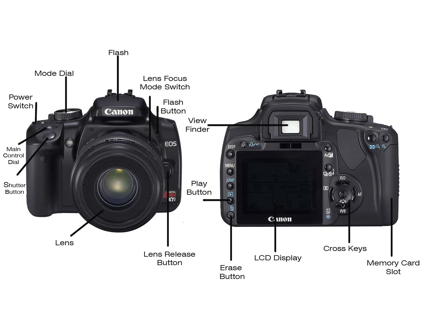 Photography For Infants  Photography For Infants