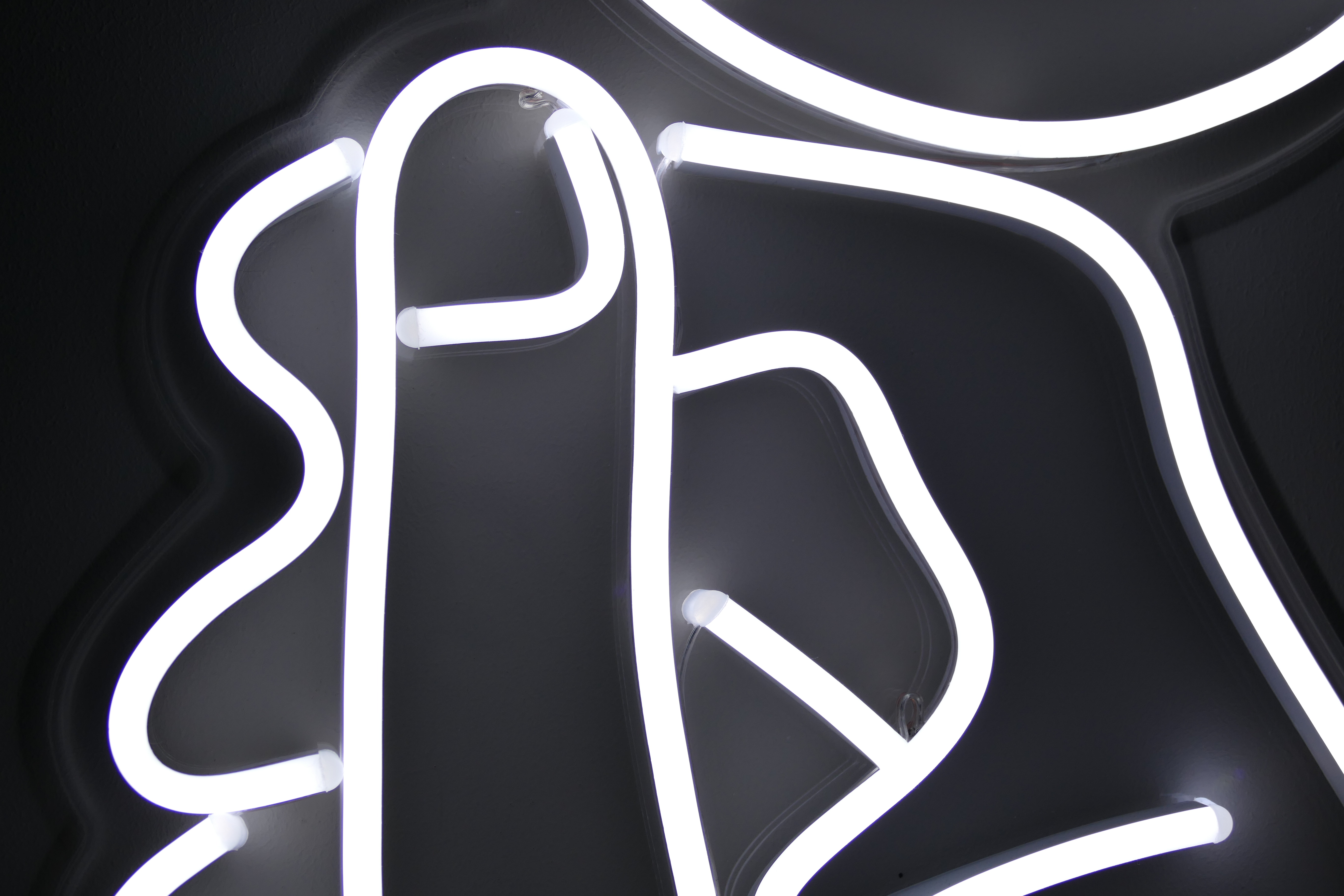 Best Neon Lights To Get For Your Home Neon Vibes Review fantail flo