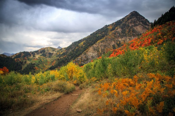 How&rsquo;s the Autumn in Utah? | Natural High-Definition Beautiful