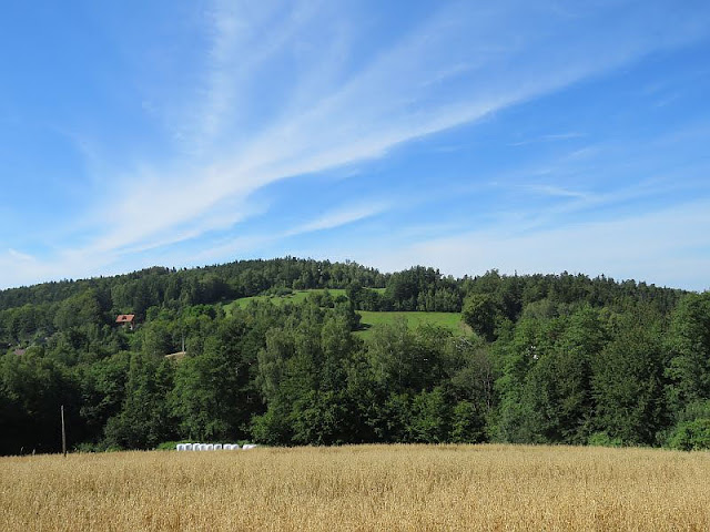 bukowiec Wzgórze Bukowiec
