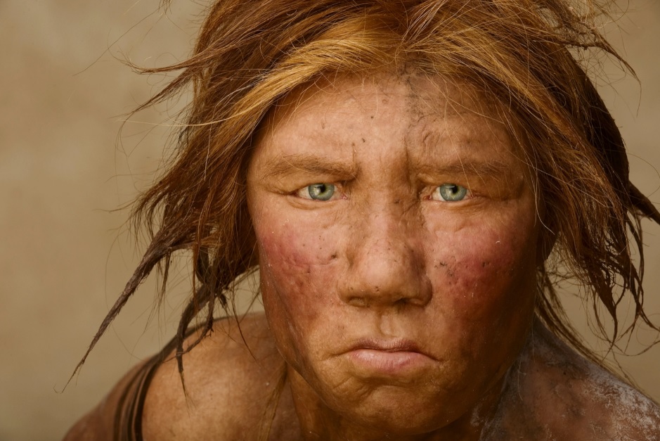 Photo of Neanderthal Artwork