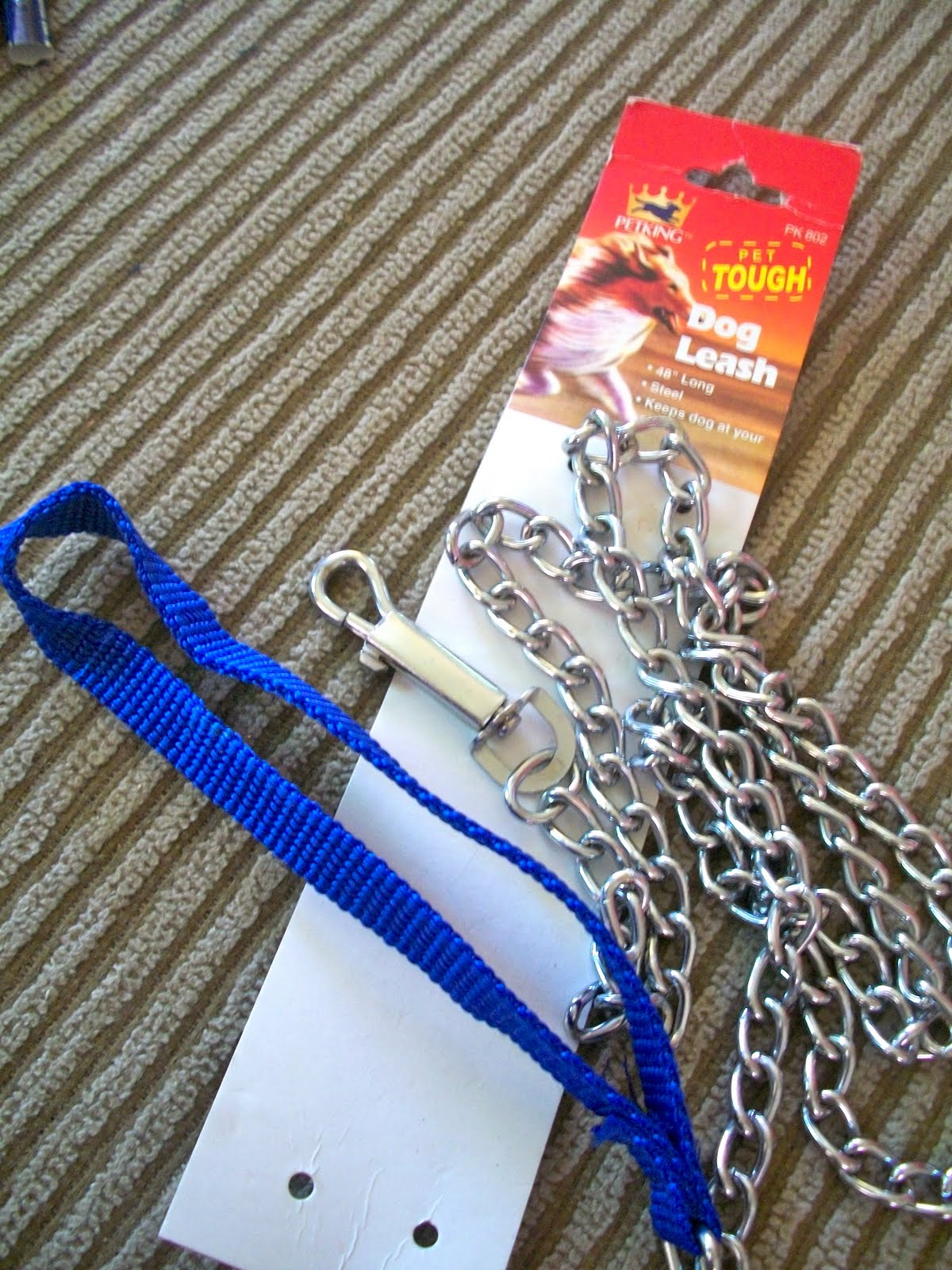 dog chains leash