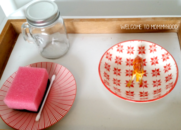 Animal themed activities for preschoolers - Welcome to Mommyhood