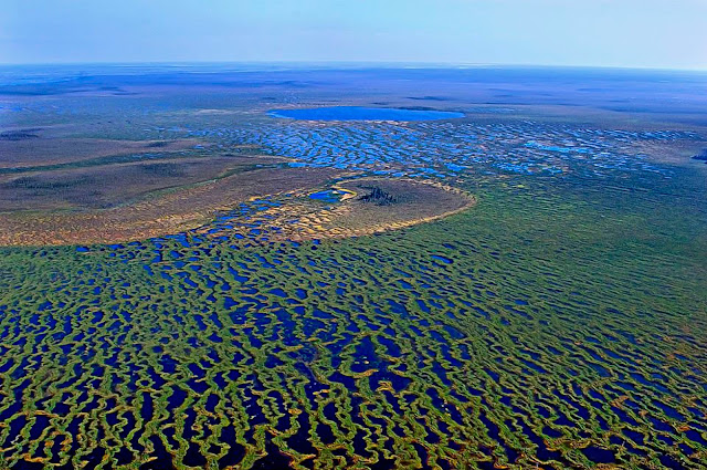 Imagen aérea de los pantanos de Vasiugán