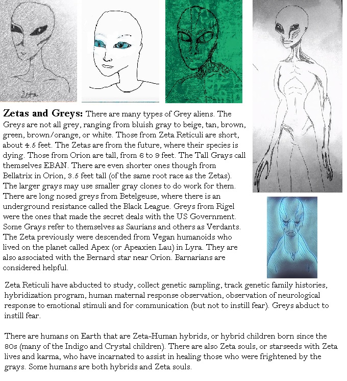 A whale of a time 4 класс spotlight. Often called перевод. They are grey. Target shirt. Matching t shirts.