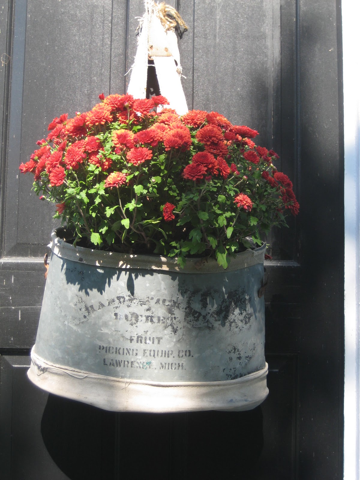 Spring Hill Farm: Outside Fall Decorations