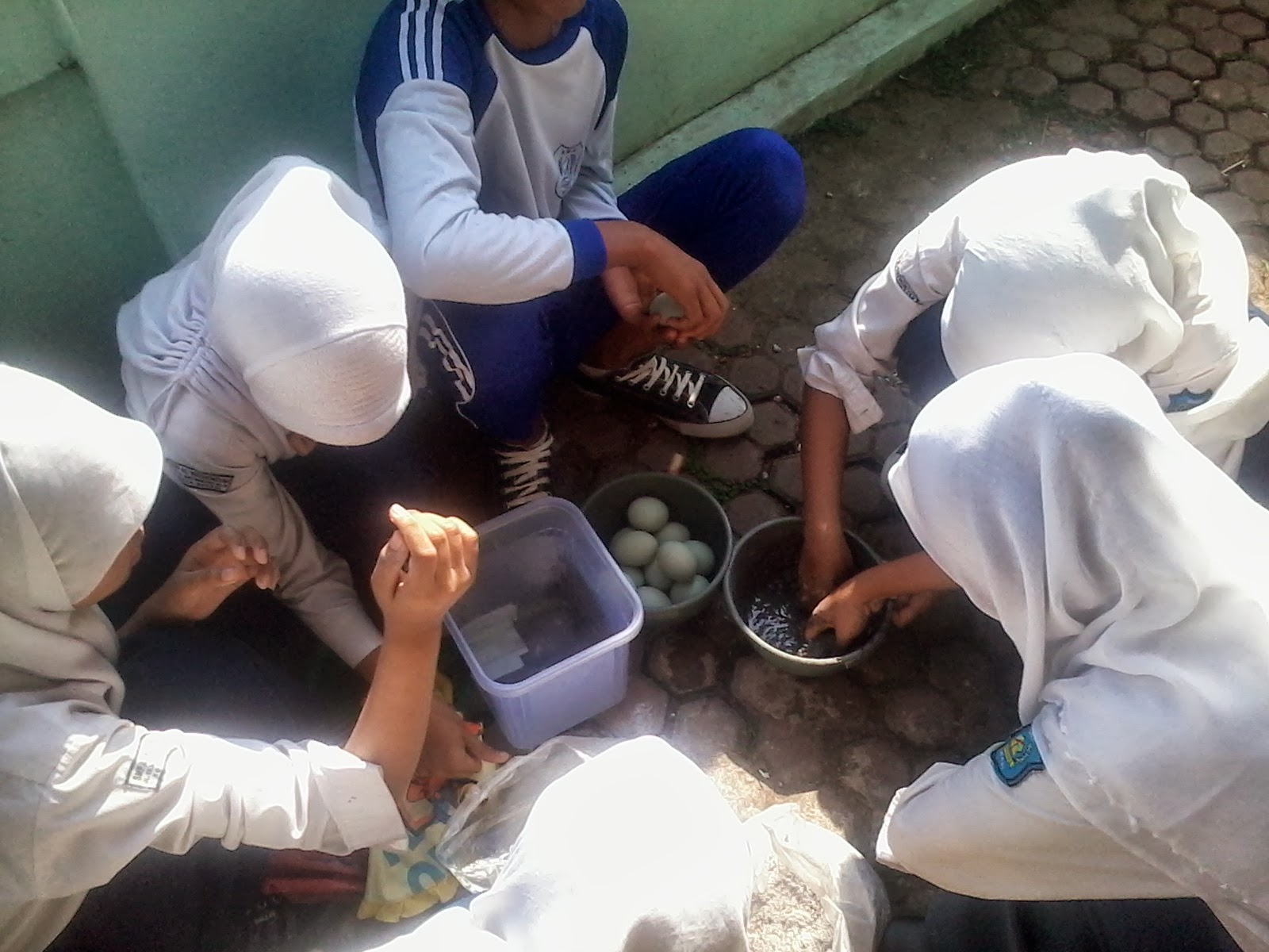 Laporan Praktikum Membuat Telur Asin Seputar Laporan