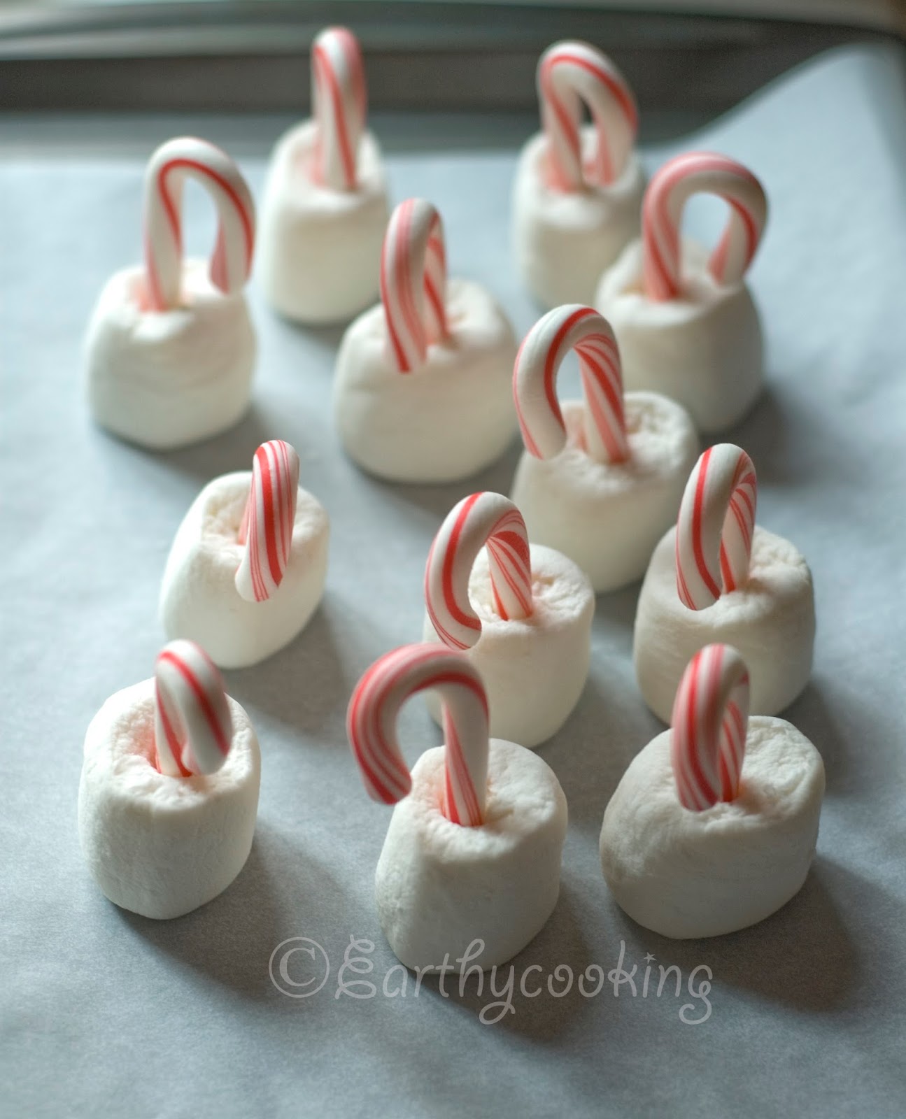 Earthycooking Candy Cane Marshmallow Pops
