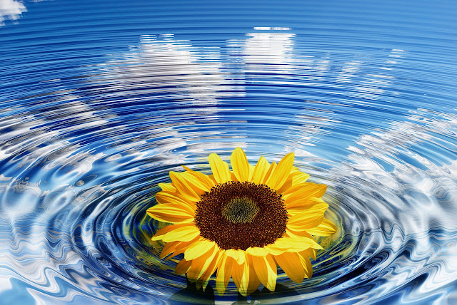 Wisdom, bubbles, water, Soul, mind, conscious, subconscious, intellect, Sun, light, knowledge, attitude, effort, analysis, deep, recess, Moon, ideas, thoughts, creativity, creation, Brahman, Universe, purpose, words, power, desires, intentions, resolutions, butterfly, stars,way, heart, follow, brilliance,boat, ocean, life, direction, map, radar, Survivin, cancer, protein, stress, chaos, peace,oak, acorn, wisdom, Anahata, heart, space, mind, clutter