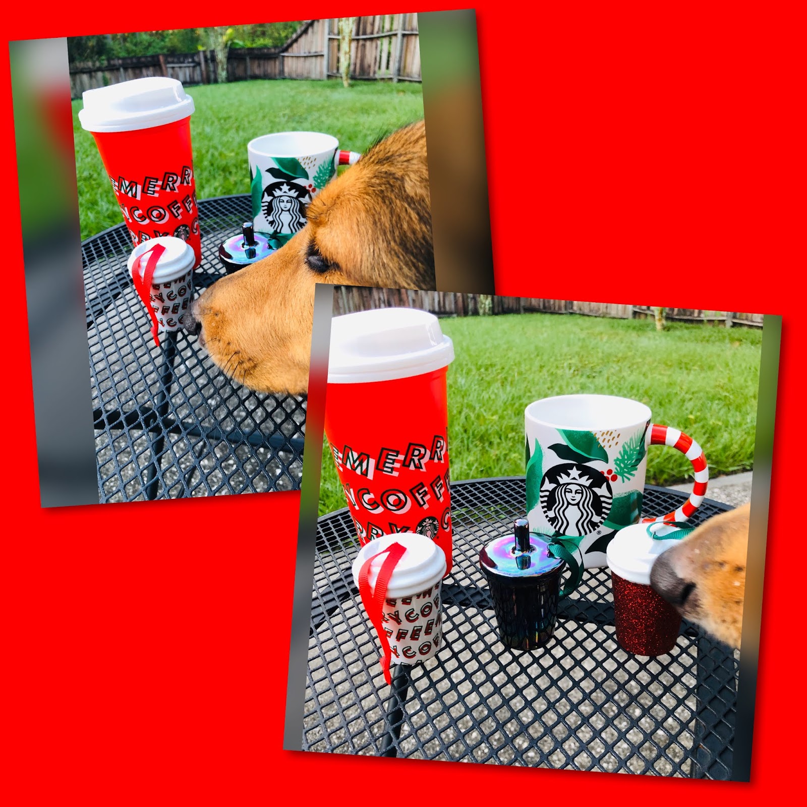 Red Cup Day at Starbucks!!