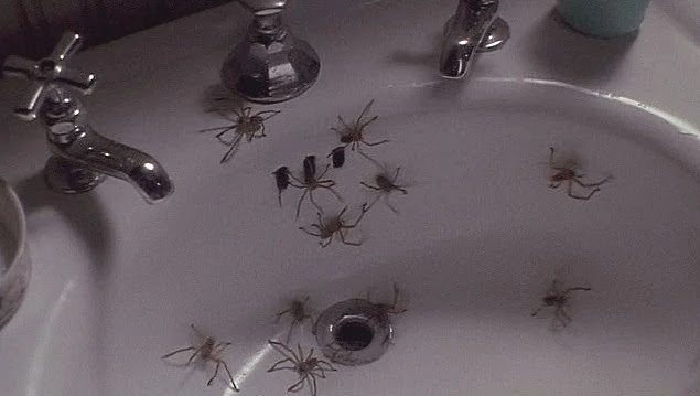 Five Fast Facts About ARACHNOPHOBIA - Warped Factor - Words in the Key