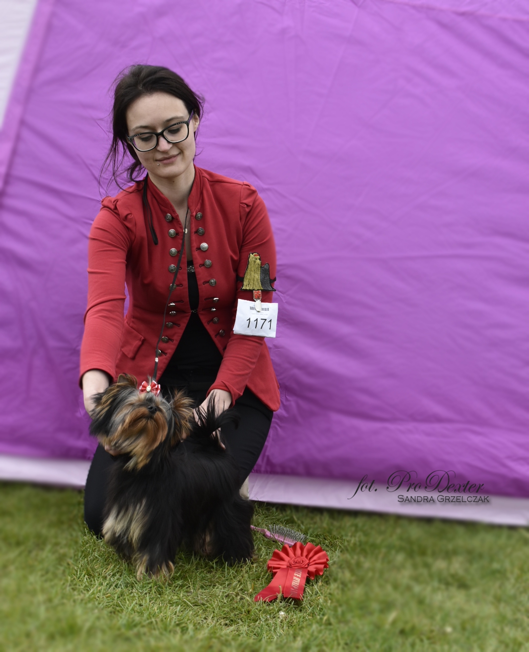 Pro Dexter FCI Yorkshire terrier breeder INTERNATIONAL DOG SHOW