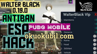 Pubg Mobile 0.19.0 Walter BLACK Vıp ESP No Root 100% Safe Season 14 İndir