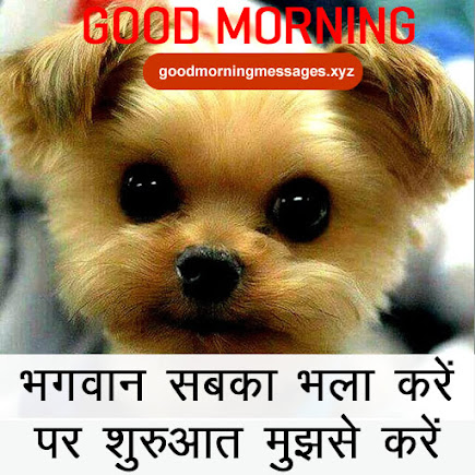 Cute Puppy Good Morning Pictures With Message In Hindi