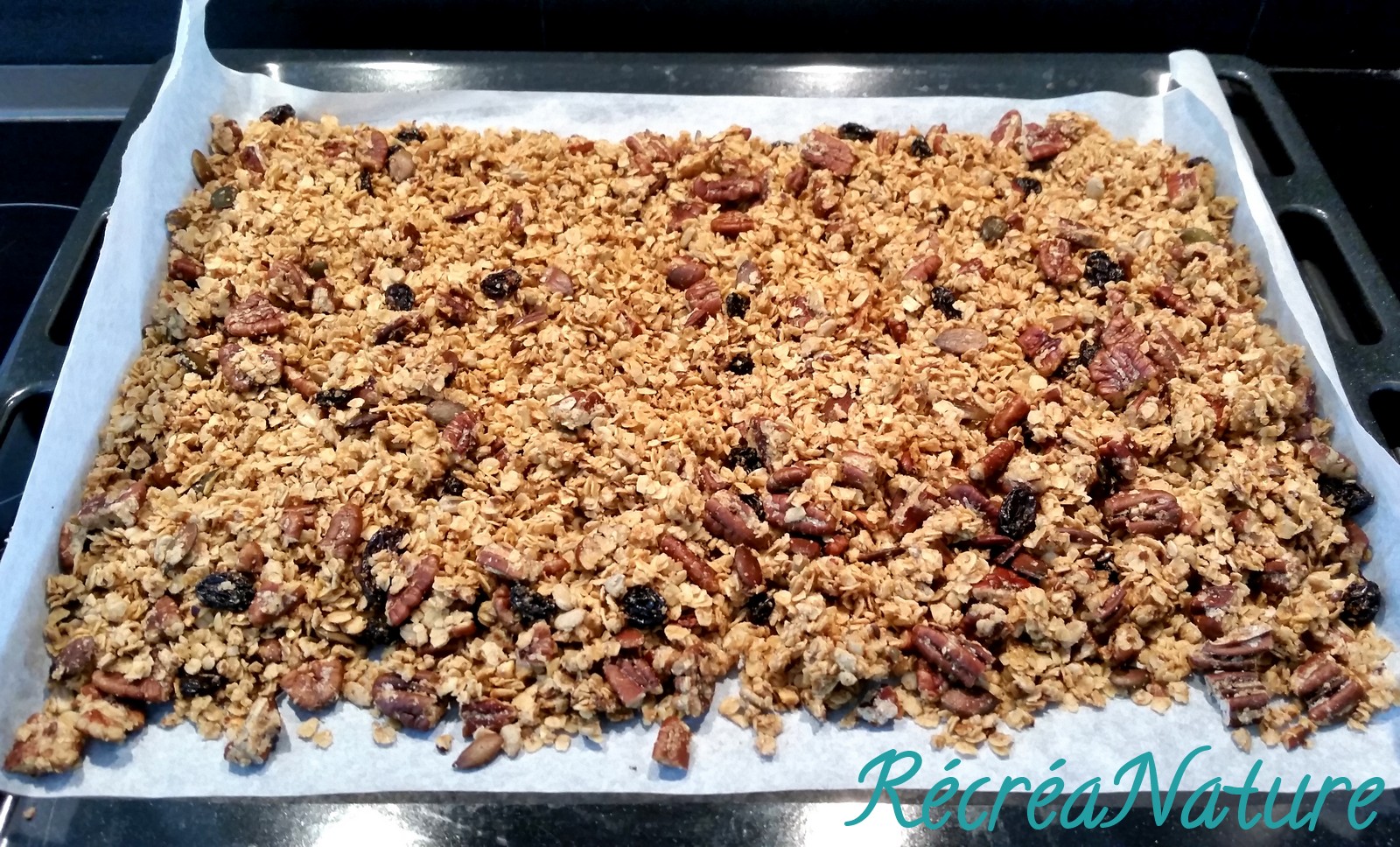 Granola Maison aux Noix, Graines Bio, Fruits Secs et Sirop d'Erable