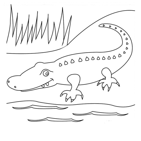 Tranh tô màu con cá sấu đơn giản đẹp cho bé